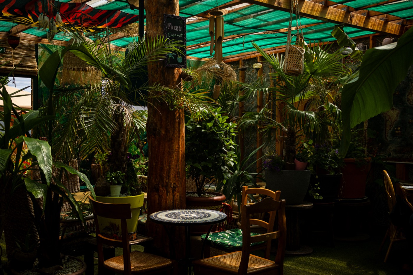 Jungle Café conservatory seating