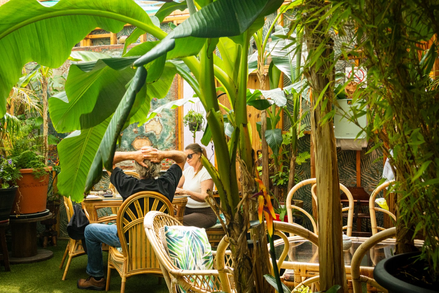 Guests dining among the plants